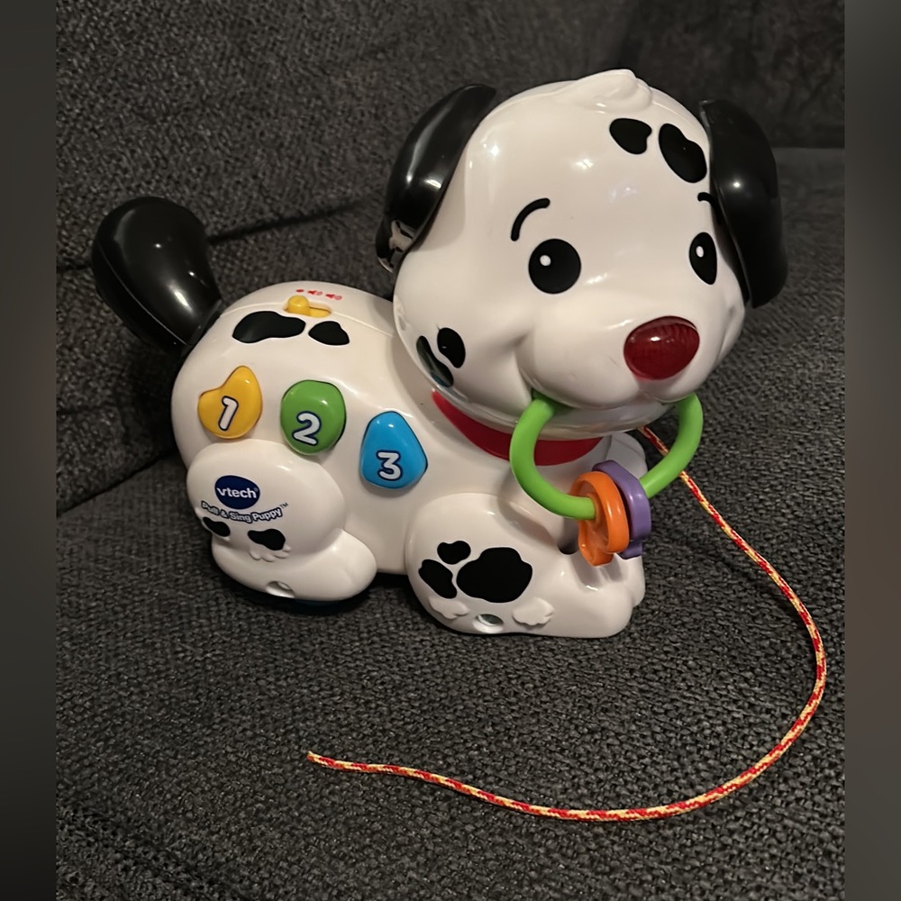 Vtech Walking Number Puppy!